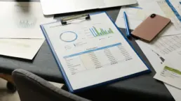 LLC Annual Report Fees for Self-Directed IRA LLC