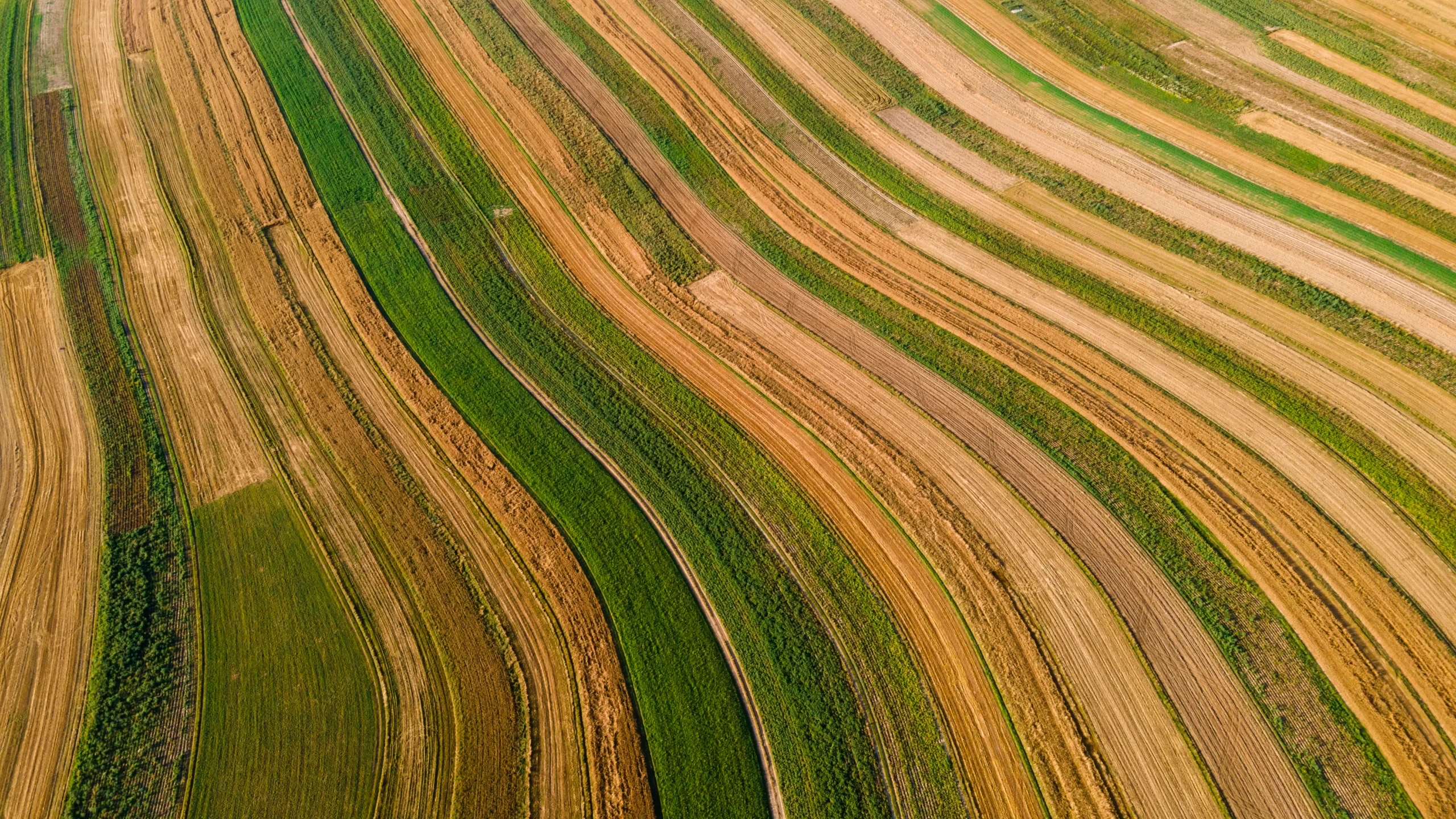 Top Raw Land Investing Platforms in 2026