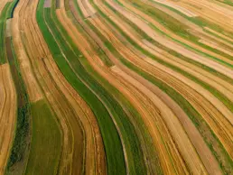 Top Raw Land Investing Platforms in 2026