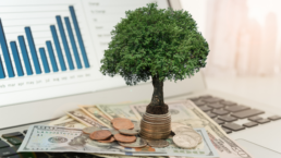 Can a Self-Directed IRA Own an LLC? What You Need to Know