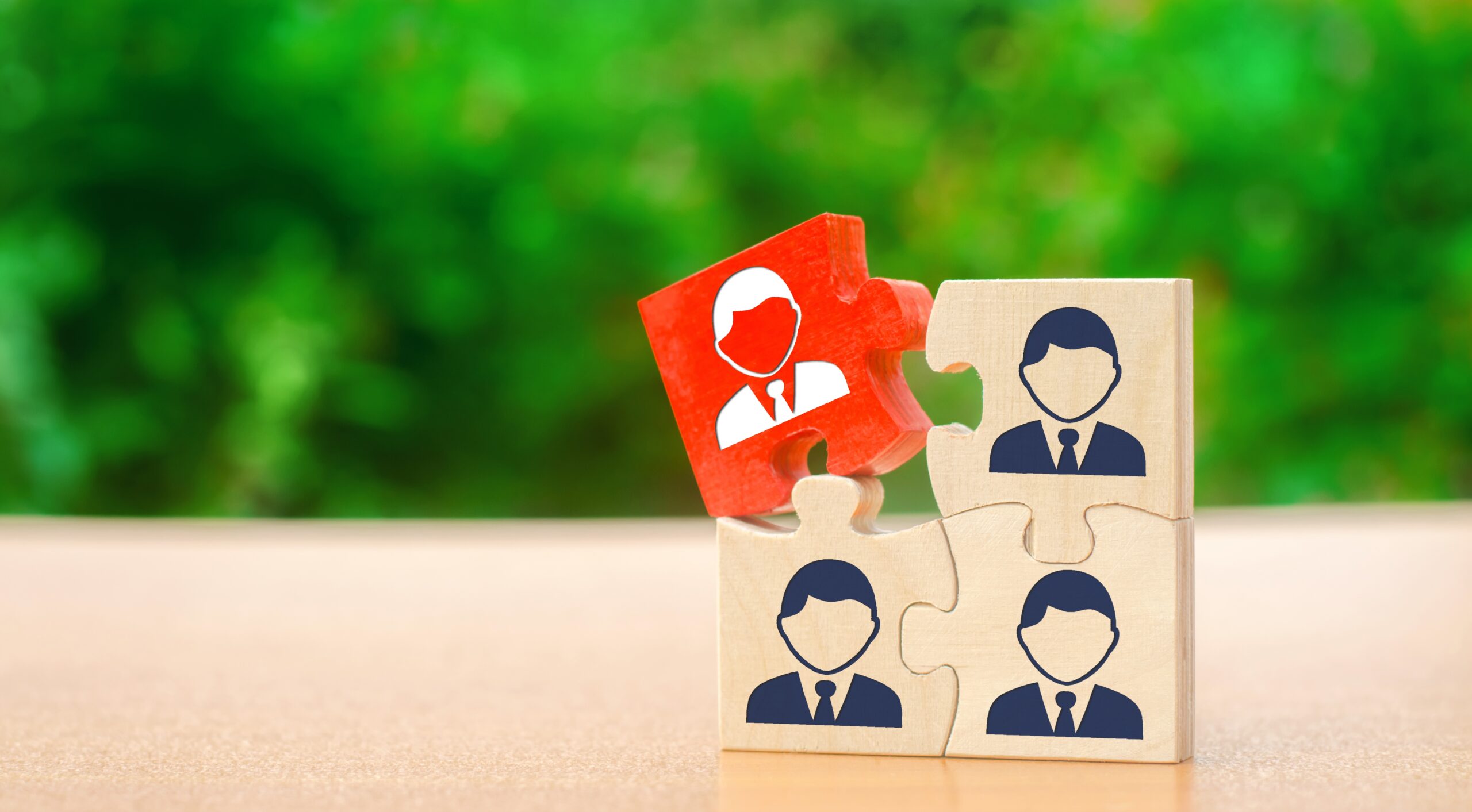 What Makes a Great Solo 401(k) Provider?