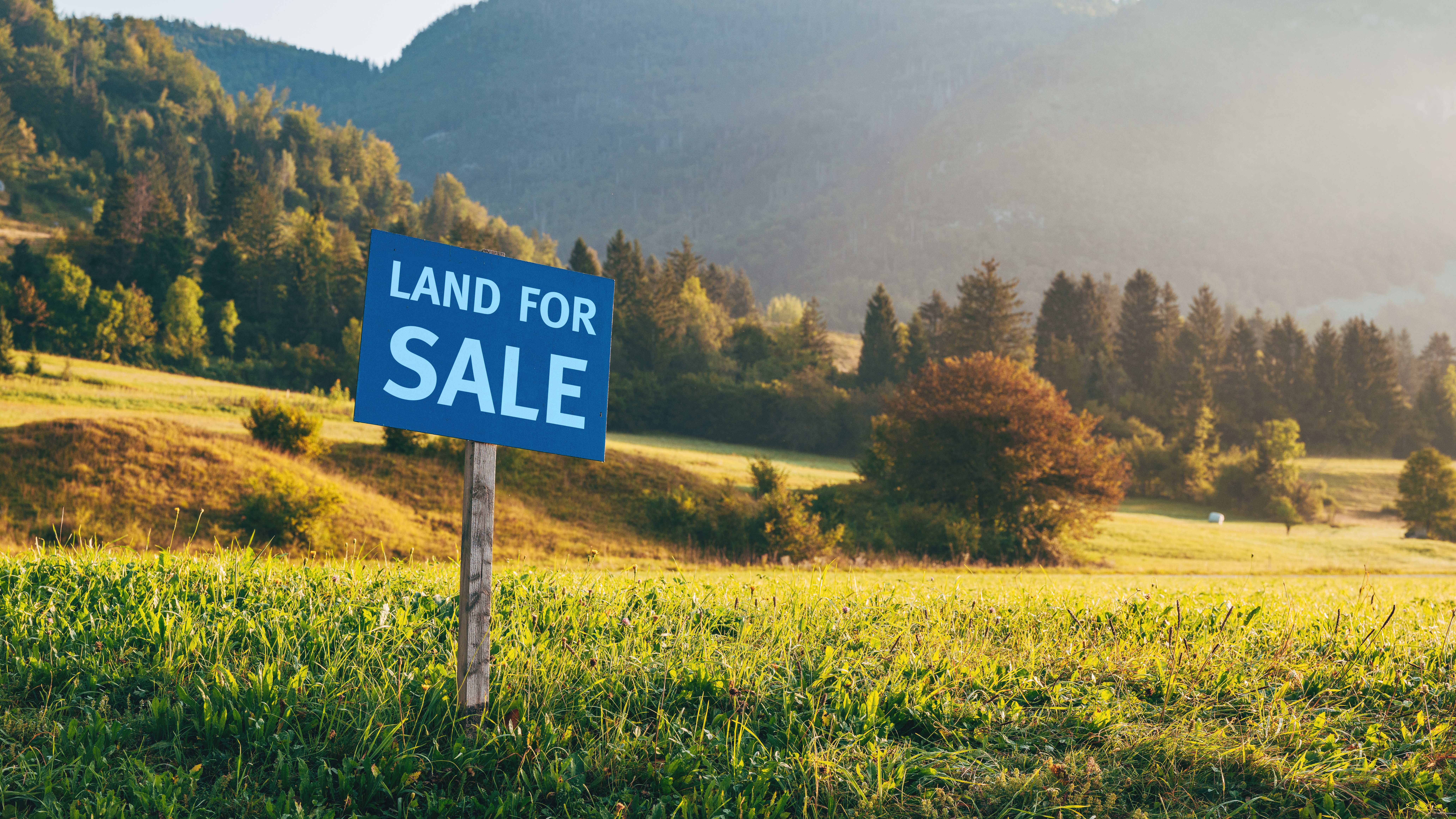 Land for sale sign on a rural parcel, illustrating how to buy land with an IRA