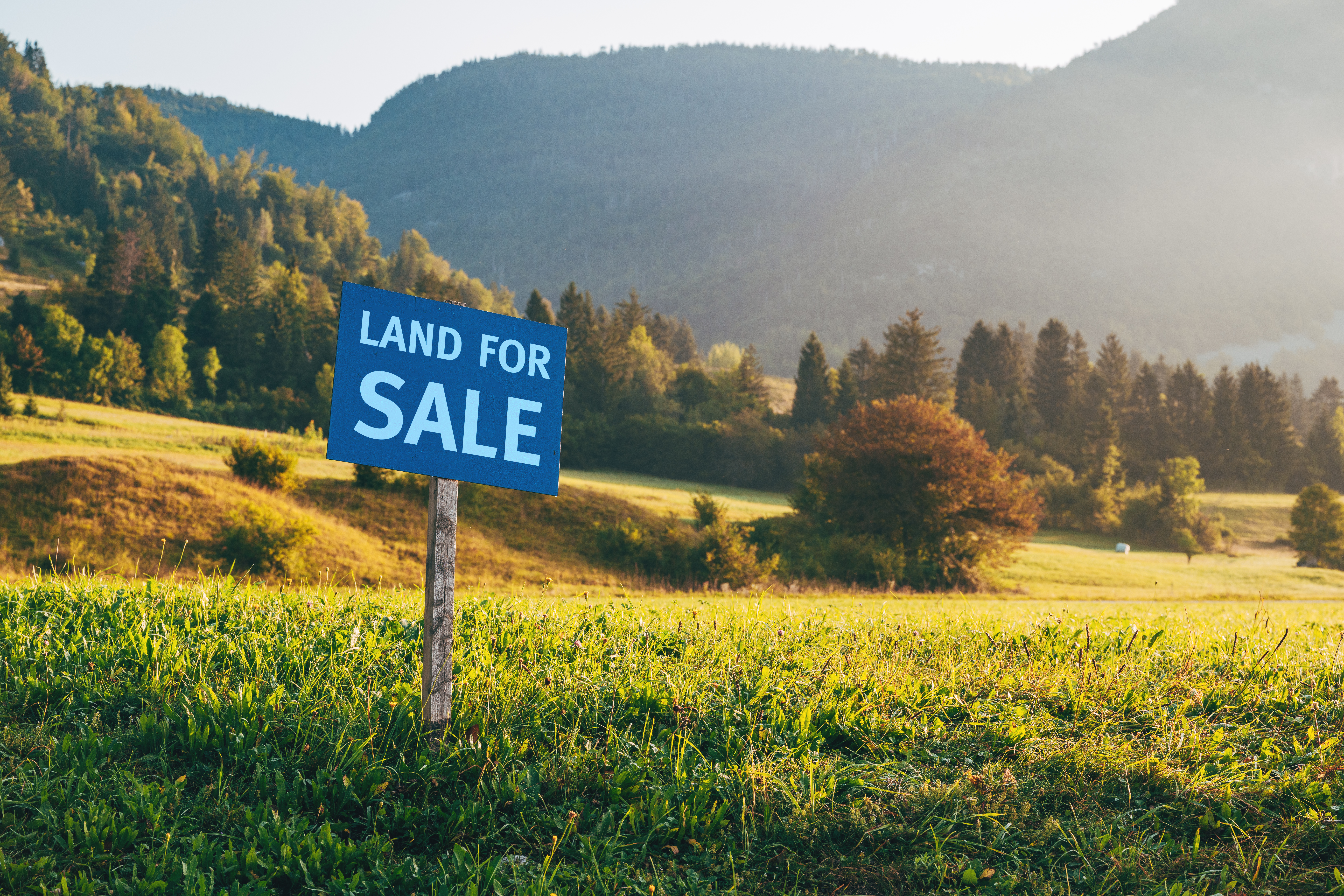 Land for sale sign on a rural parcel, illustrating how to buy land with an IRA