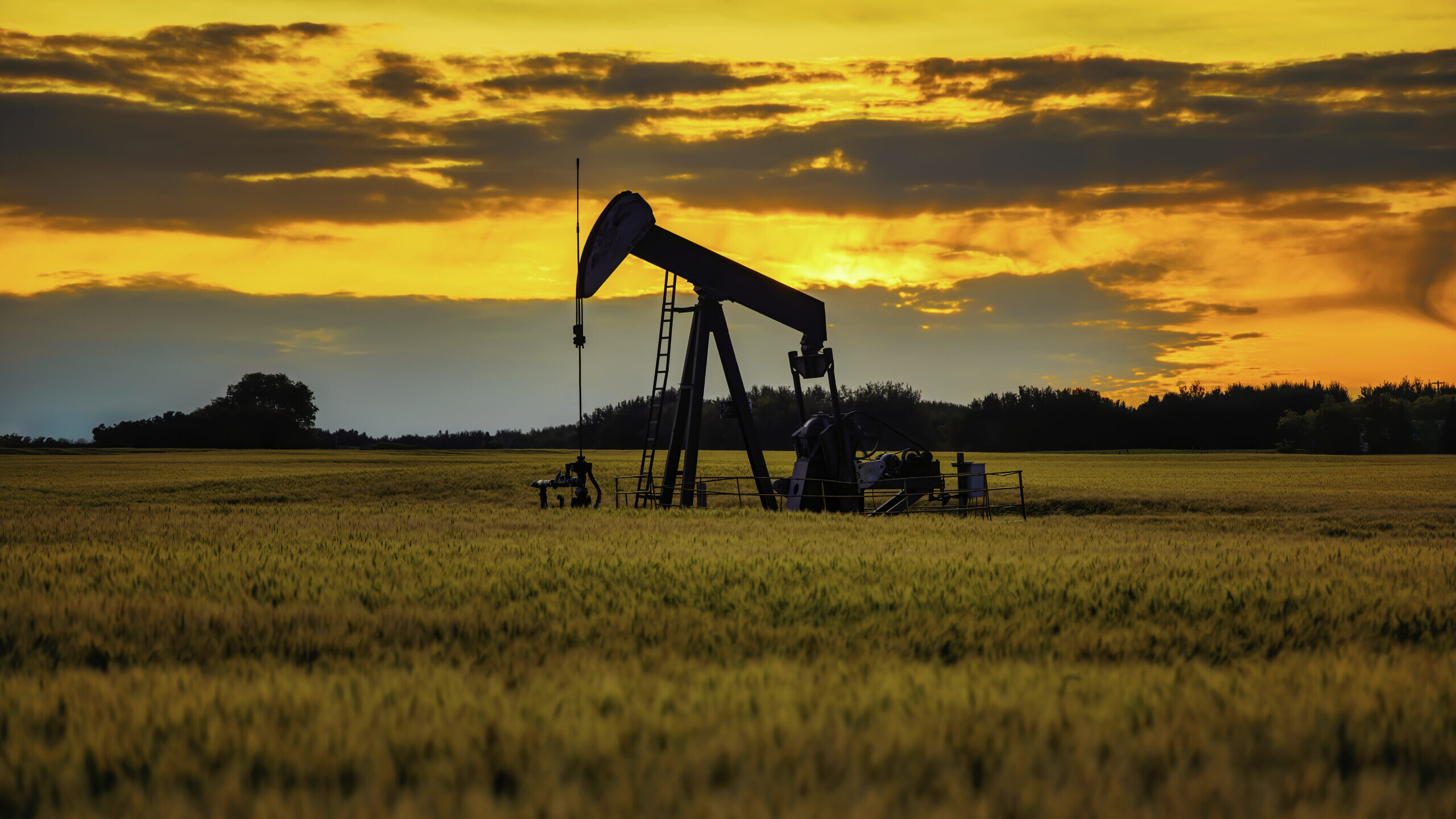 Oil pumpjack in a wheat field at sunset, illustrating oil and gas investments in a Self-Directed IRA