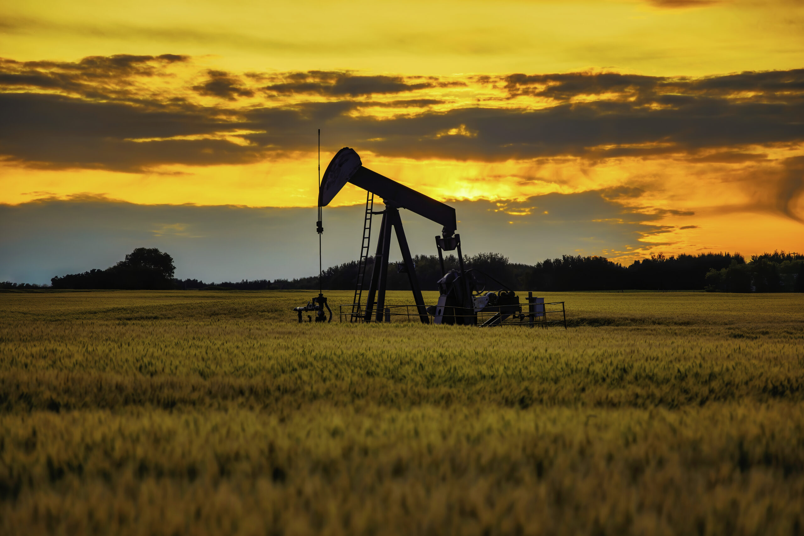Oil pumpjack in a wheat field at sunset, illustrating oil and gas investments in a Self-Directed IRA