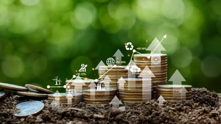 Socially Responsible Investing in an IRA